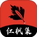 成品视频下载官方版APP应用